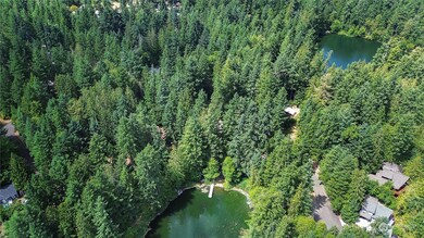 21900 183rd Ave SE, Yelm, WA 98597 - photo 4