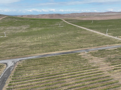 2020 Vintage Rd, Zillah, WA 98953 - photo 3