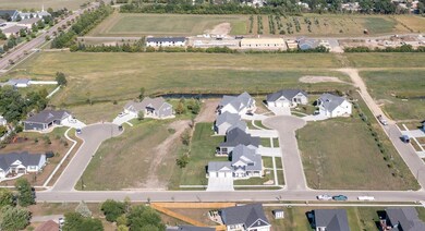 Drone View