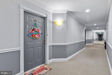 4550 Chaucer Way unit 403, Owings Mills, MD 21117 - photo 3