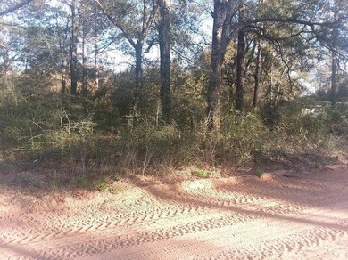 Bethany Drive Photo 2