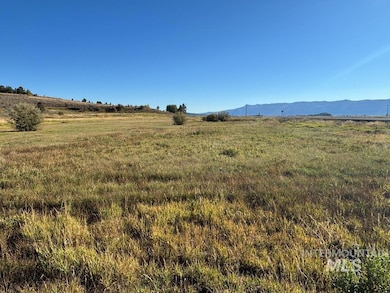 View of yard with a view of rural / pastoral area and a mountain view