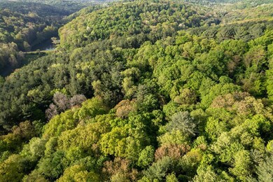 0 Twp Rd 629 & 3292 unit 9060612, Loudonville, OH 44842 - photo 6