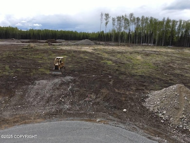 13446 W Excalibur Cir, Houston, AK 99694 - photo 2