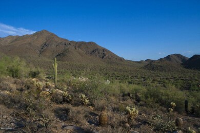 Views of the McDowell Mtn Preserve