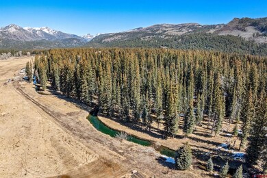 201 Golden Forest Rd, Vallecito Lake/Bayfield, CO 81122 - photo 7
