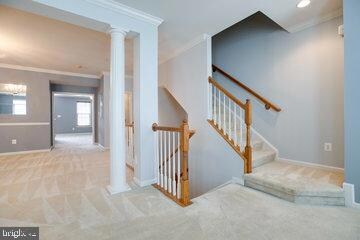 2515 Eastbourne Dr unit 244, Woodbridge, VA 22191 - photo 3