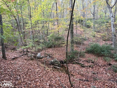 609 Ball Mountain Ln, Shipman, VA 22971 - photo 3