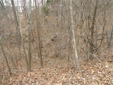 0 Binkley Ln unit 1100485, Bloomfield, KY 40008 - photo 3