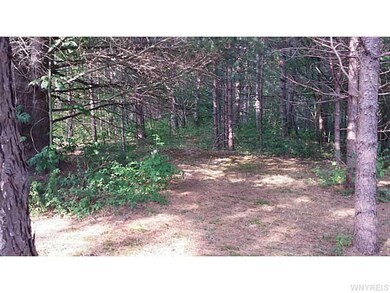 Land/Lot.