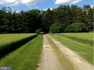 13995 Gregg Neck Rd, Galena, MD 21635 - photo 6