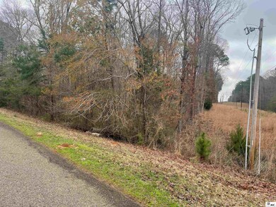 0 Tremont Dr, Ruston, LA 71270 - photo 3