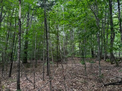 IMG_3090 (1)