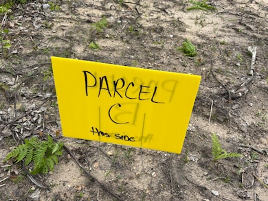 Parcel #C Town Line Rd, Lewiston, MI 49756 - photo 3