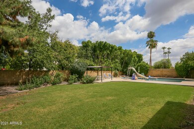 Backyard (6)