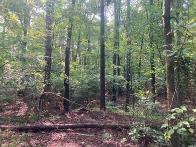 000 Ferguson Rd, Heber Springs, AR 72543 - photo 5