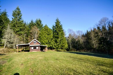 154 Wild Plum Rd, ChiMacUm, WA 98325 - photo 4