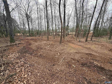 2.65 Acres Lester Dr, Boaz, AL 35957 - photo 5