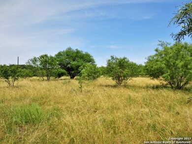 TRACT 13 County Road 251, Hondo, TX 78861 - photo 2