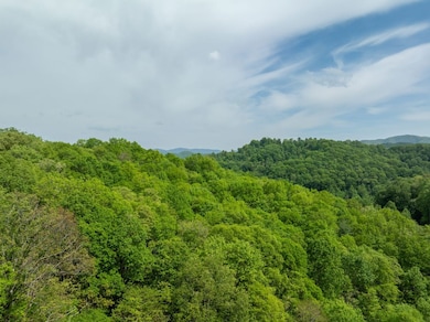 890 Panther Branch Rd, Hot Springs, NC 28743 - photo 6