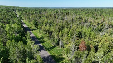 853 Calderwood Lot B Rd, Trout Creek, MI 49967 - photo 5