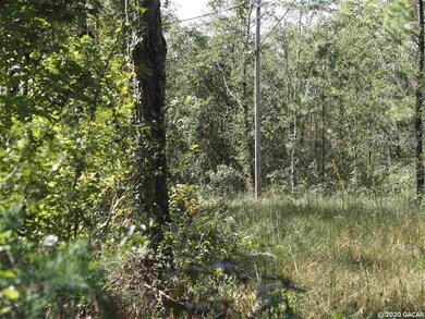 TBD Spring Dr, Middleburg, FL 32068 - photo 6