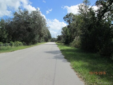 1666 E Sheridan Ln, Hernando, FL 34442 - photo 3