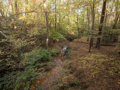 Dice Miller Rd, Moore, SC 29369 - photo 3