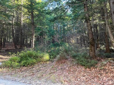 Lot 7 Hermit Woods Rd, Sanbornton, NH 03269 - photo 6