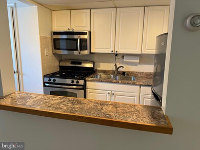 116 N Indian Aly unit 203, Winchester, VA 22601 - photo 2