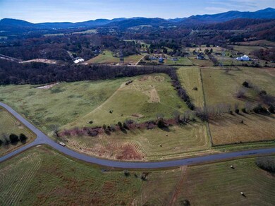 0 Sycamore Creek Dr unit 600548, Samuel Miller, VA 22959 - photo 6