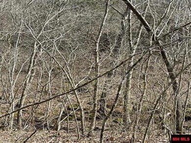 001-04964-003 Jimmie Creek Trail, Yellville, AR 72687 - photo 7