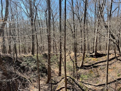 0 Harley Rucker Rd unit 19785832, Elberton, GA 30635 - photo 4