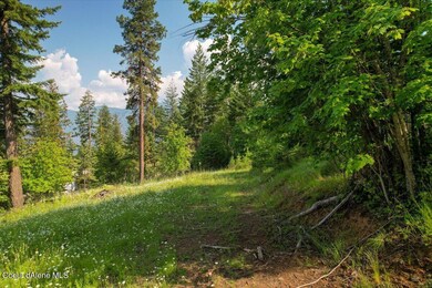 699 Midas Dr, Sagle, ID 83860 - photo 2