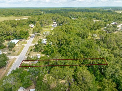 1093 Bluff Rd, Apalachicola, FL 32320 - photo 5
