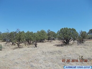 0 Wilmot Rd, Silver City, NM 88061 - photo 7