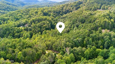 Tract 10 Dunn Way, Sevierville, TN 37876 - photo 5