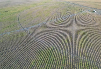 Quebec Rd, Tallulah, LA 71282 - photo 6