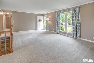 2325 W Carriage Ln, Peoria, IL 61614 - photo 4