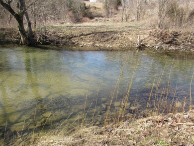 288 Central Pike, Harrodsburg, KY 40330 - photo 7