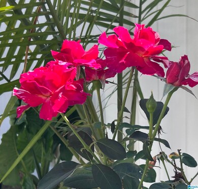 4027 Saddle Run Cir, Pelham, AL 35124 - photo 4