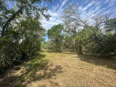 0 Cr 400 Tract 4, Brazoria, TX 77422 - photo 2