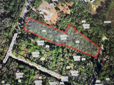 10043 W Holloway Path, Crystal River, FL 34429 - photo 2