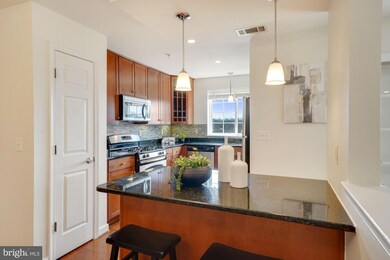 The West Village of Shirlington unit 403, Arlington, VA 22204 - photo 6