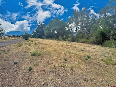 0 Highway 160, South Fork, CO 81154 - photo 2