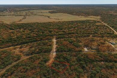 Dewberry Ct unit Huntsville TX 77320, Huntsville, TX 77320 - photo 2