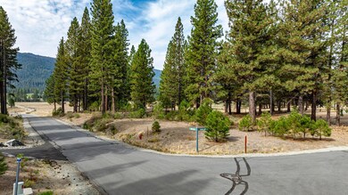 503 Redtail Loop, Clio, CA 96106 - photo 5