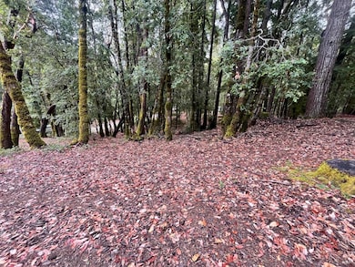 1817 Clover Dr, Brooktrails, CA 95490 - photo 5