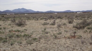 2424 E Valle Rd, Williams, AZ 86046 - photo 6