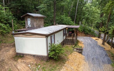 Additional View